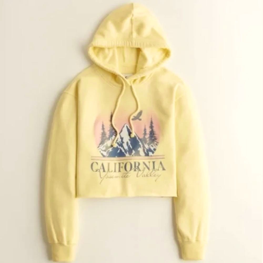 Hollister cropped hoodie